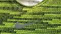 NIKE PRO DRI-FIT Размер 137-147 см / 10-12 години детска блуза 37-51, снимка 5