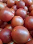 Продавам розов домат, снимка 3