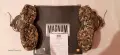 Тактически обувки Magnum Camouflage размер 44 чисто нови , снимка 2
