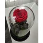 Червена вечна роза в стъкленица, перфектният подарък, снимка 3