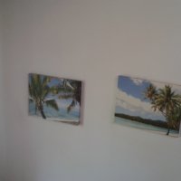 Колекция от 2 принта с палми върху канава, снимка 2 - Картини - 44302573