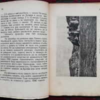 Библиотека "Нашата родина" Павелъ Делирадевъ /1929/, снимка 2 - Антикварни и старинни предмети - 36377406