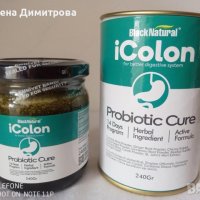 ПРОМОЦИОНАЛНА ЦЕНА!iColon маджун с билки и пробиотик за балансиране на стомашната флора 240 мл., снимка 1 - Хранителни добавки - 41353265
