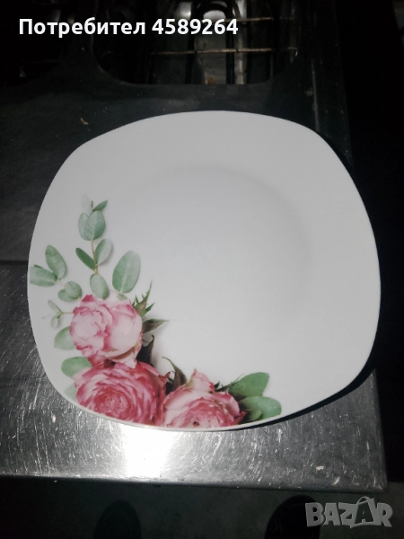 Чинии , снимка 1