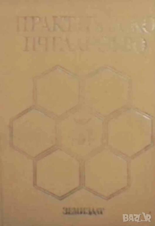 Практическо пчеларство, снимка 1