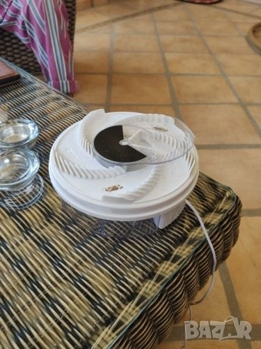 Капан за мухи, снимка 1