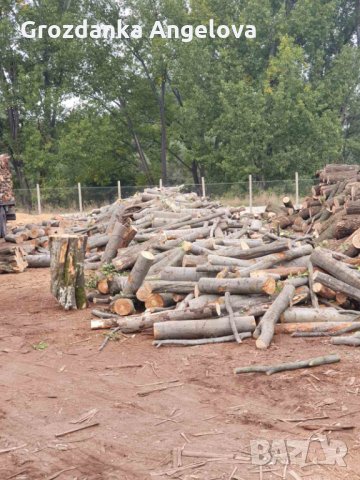 Дърва за огрев , снимка 7 - Дърва за огрев - 31555793