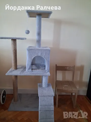 Аксесоари за котка , снимка 5 - За котки - 55979974