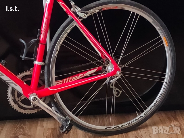 Specialized Allez колело, снимка 12 - Велосипеди - 51497999