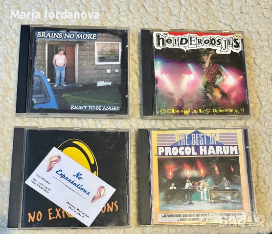 Punk,Hardcore,Ska,Punk Rock,Crust Punk, снимка 3 - CD дискове - 53849980