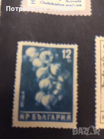 Пощенски марки чисти 16 броя .  , снимка 5 - Филателия - 41535104