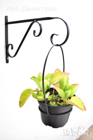 Пана огради декорация , снимка 5 - Пана - 52484966