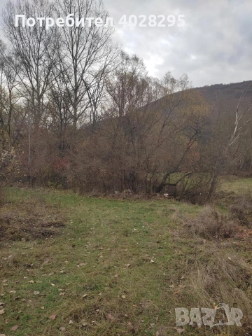 Имот в с.Габер, община Драгоман , снимка 5 - Парцели - 53387489