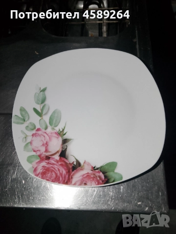 Чинии , снимка 1