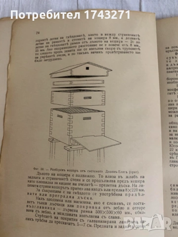 Пчеловъдство и болести по пчелите 1938 г. Александър Тошково пчелите 1938 г. Александър Тошков, снимка 5 - Антикварни и старинни предмети - 53208228