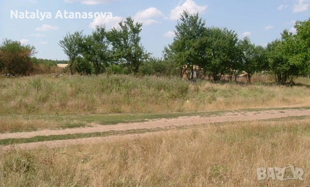 Парцел за продажба в Бдинци, Добрич, снимка 12 - Парцели - 53635006