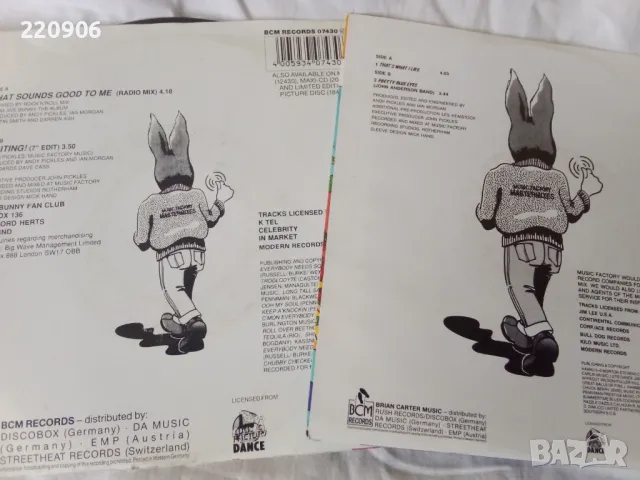 Две малки плочи Jive Bunny в отлично състояние, снимка 2 - Грамофонни плочи - 50429429