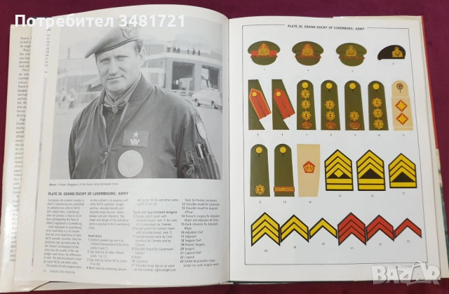 Илюстриран справочник на организацията и отличителните символи в НАТО / NATO Forces, снимка 11 - Енциклопедии, справочници - 53749870