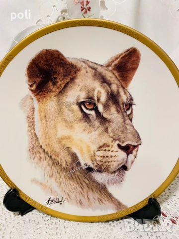 порцеланова чиния за стена 7 , снимка 2 - Декорация за дома - 51183964