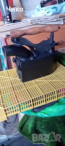 Рядка ютия на жар