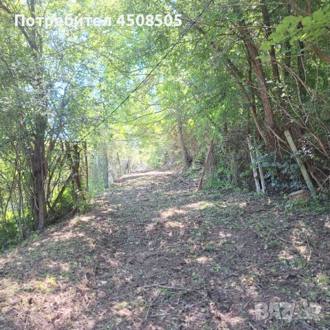 Поддръжка на вашия имот/Вила и парцел , снимка 2 - Други - 50729474