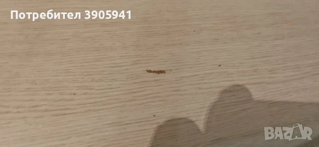 Продавам дървен скрин - ракла и подматрачна рамка, снимка 4 - Шкафове - 51244501