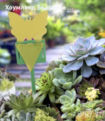 Капан за насекоми - 12 броя, снимка 7 - Други стоки за дома - 40861091