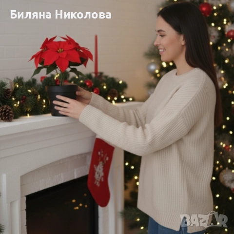 Вечна празнична Коледна звезда – реалистична украса, снимка 5 - Декорация за дома - 52467437