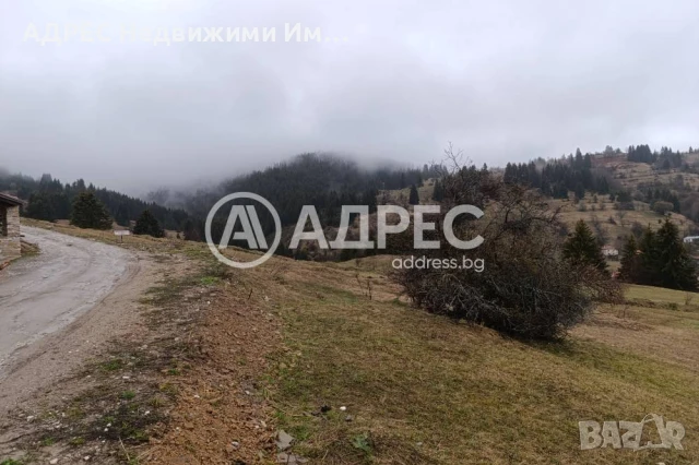 Поземлен имот, снимка 6 - Парцели - 51105225