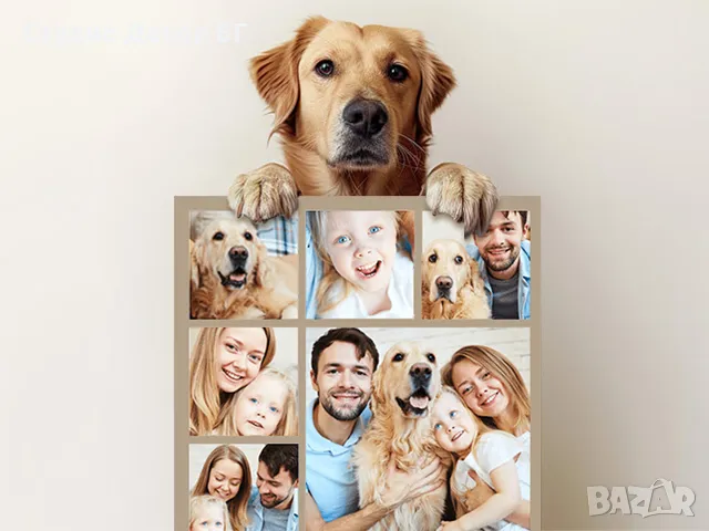 Картина колаж от снимки