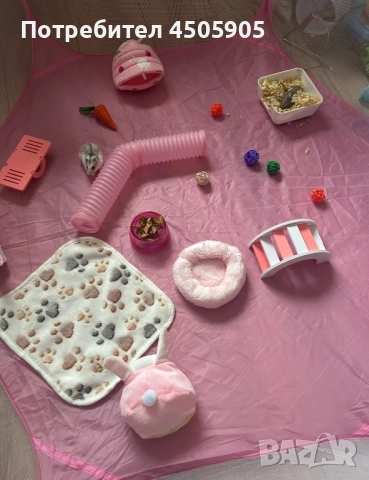 Мини хамстери, снимка 4 - Хамстери - 52541692