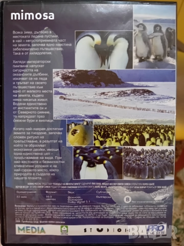 Комплект 36 диска с детски филмчета, снимка 13 - CD дискове - 52268357