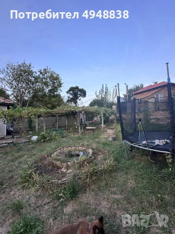 къща в село Кошничари, снимка 3 - Къщи - 56066016