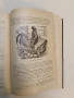Животнитѣ от биологично гледище - Борис Митов (1935, Луксозна изработка, Отлично състояние), снимка 11