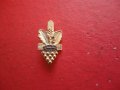 Немски знак значка 5, снимка 3