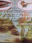 Пощенска блок марка РАКОВИНИ екзотични много красиви за КОЛЕКЦИЯ 10761, снимка 5