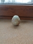 Колекционерско яйце от полускъпоцен камък , снимка 1