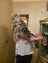 Мейн куун котета, снимка 7