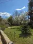 Професионално озеленяване и поддръжка на дворове, снимка 9