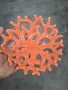 купички корали , снимка 1