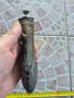 Американска бронзова барутница - 14, снимка 5