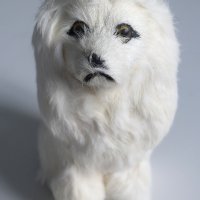 Сувенир Естествена козина Куче , снимка 1 - Колекции - 41619485