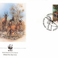 Мозамбик 1991 - 4 броя FDC Комплектна серия - WWF, снимка 3 - Филателия - 38631129