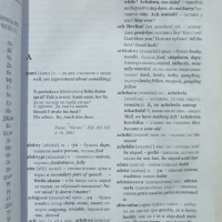 Книга Ромско-българско-английски речник - Савчо Савчев 2004 г., снимка 2 - Чуждоезиково обучение, речници - 36335092