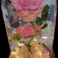 Вечна Роза в Стъкленица, снимка 5 - Романтични подаръци - 41801347