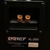 Acoustic Energy xl-250 , снимка 6 - Тонколони - 40382114