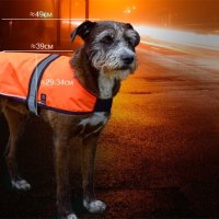 НОВИ! LED светлоотразителна жилетка за куче 3 режима Li-ion USB, снимка 9 - За кучета - 41383307