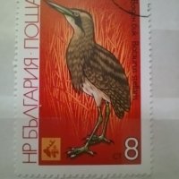 Красива колекция български пощенски марки с птици, снимка 3 - Филателия - 39801227