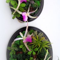 Комплект пана със скандинавски мъх и цвят орхидея, снимка 4 - Пана - 35982530