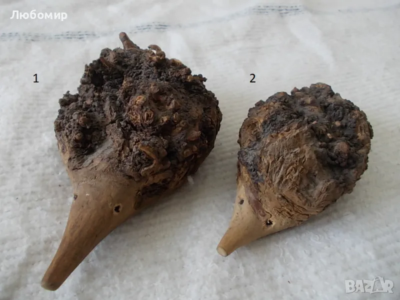 Семейство таралежи - от природата, снимка 1